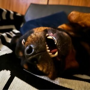 Meet your Posher, Cara